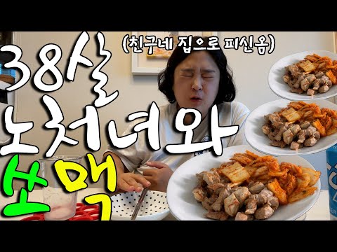 [술먹방 vlog] 38살 노처녀, 부모님 잔소리 피해 친구네 집으로 도망쳐 술마시고 왔습니다(feat.독립 못함)