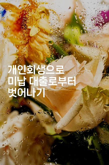 개인회생으로 미납 대출로부터 벗어나기-맛동산