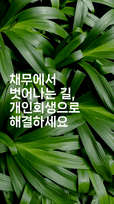 채무에서 벗어나는 길, 개인회생으로 해결하세요-맛동산