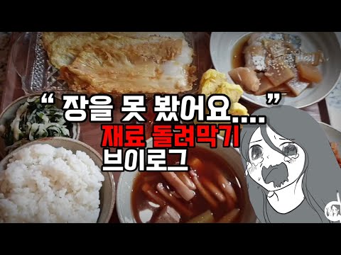 [냉장고털기] 짠순이 실비절약 브이로그, 소박한 재료로 풍성한 집밥 만들기, 무지출데이, 냉장고털기