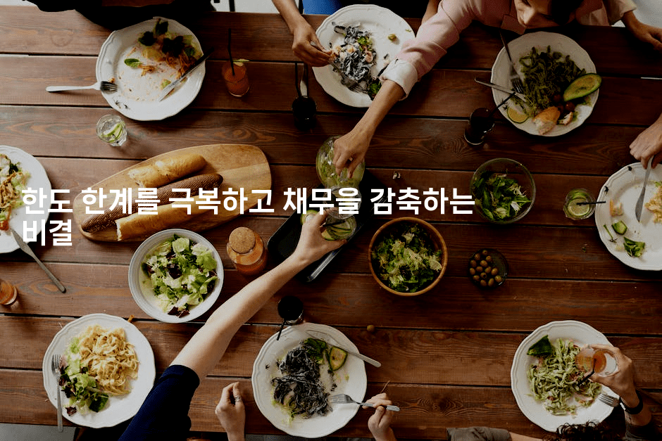 한도 한계를 극복하고 채무을 감축하는 비결-맛동산