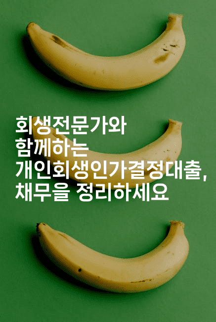 회생전문가와 함께하는 개인회생인가결정대출, 채무을 정리하세요