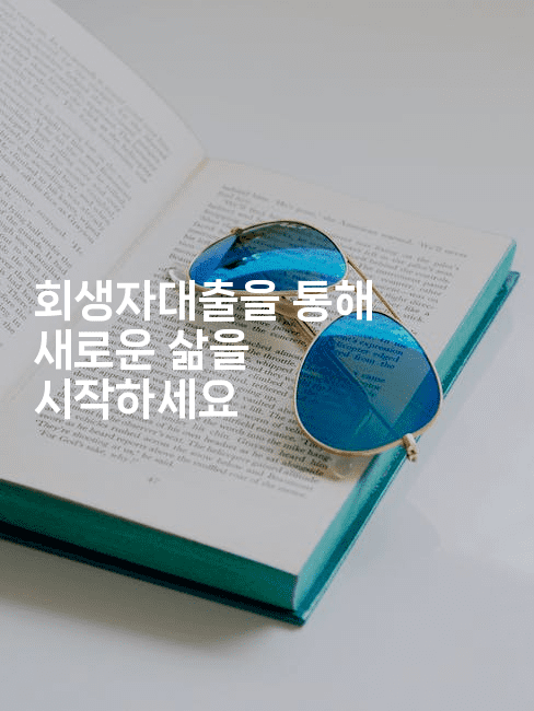 회생자대출을 통해 새로운 삶을 시작하세요-맛동산