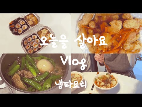 방학집밥 설맞이냉장고털기 식비절약 트리를정리해요 냉동식품천국 김밥 카레등 냉털요리 4인가족냉장고파먹기