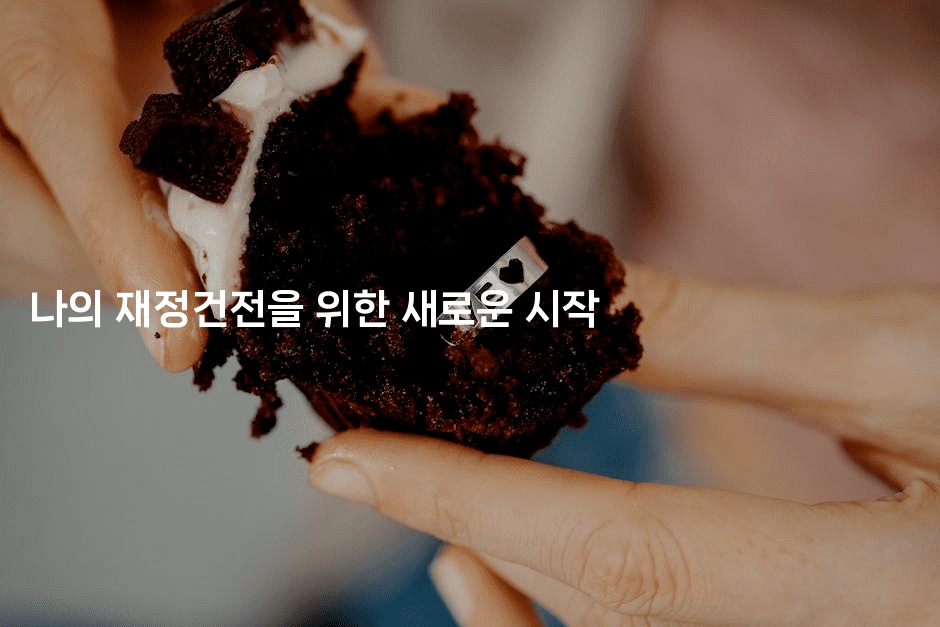 나의 재정건전을 위한 새로운 시작-맛동산