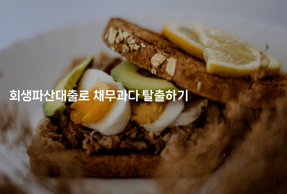 회생파산대출로 채무과다 탈출하기-맛동산