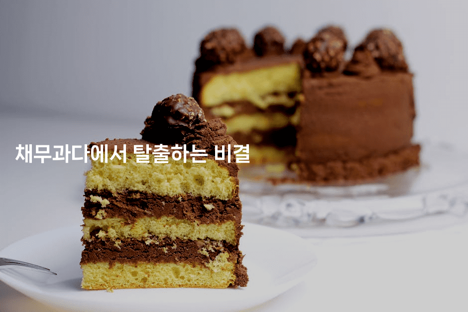 채무과다에서 탈출하는 비결-맛동산