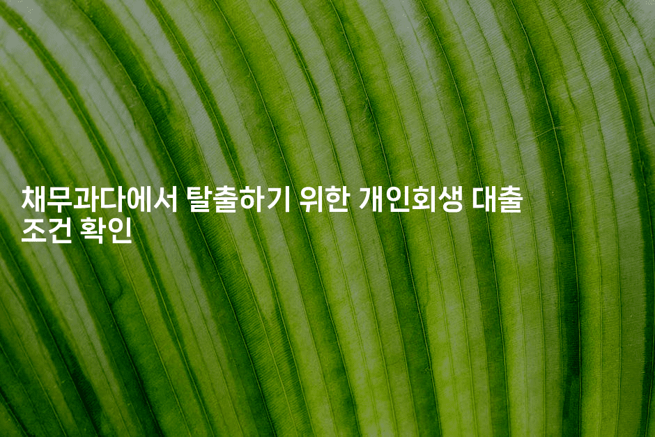 채무과다에서 탈출하기 위한 개인회생 대출 조건 확인-맛동산