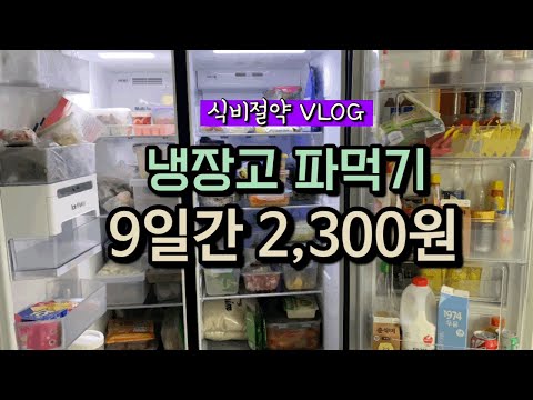 식비절약 vlog | 냉장고 파먹기 | 식비아껴서 저축하자 | 9일간 식비 2300원✌️