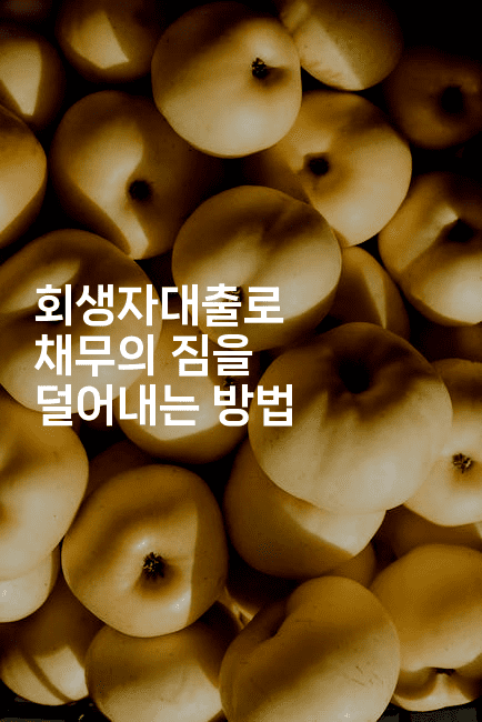 회생자대출로 채무의 짐을 덜어내는 방법-맛동산